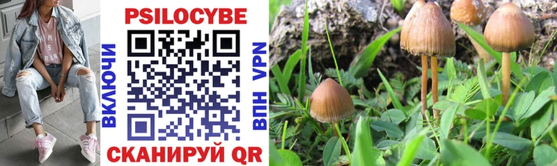 Псилоцибиновые грибы Cubensis  закладки  Чернушка 